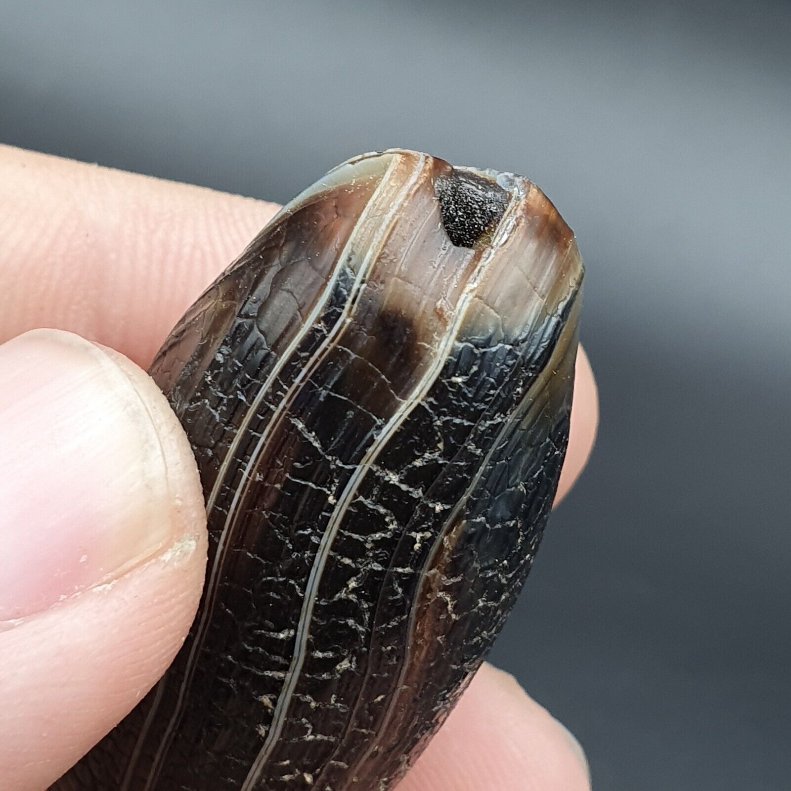 Dragon Skin Agate Himalayan Indo Tibetan Agate bead Amulet Bead #23