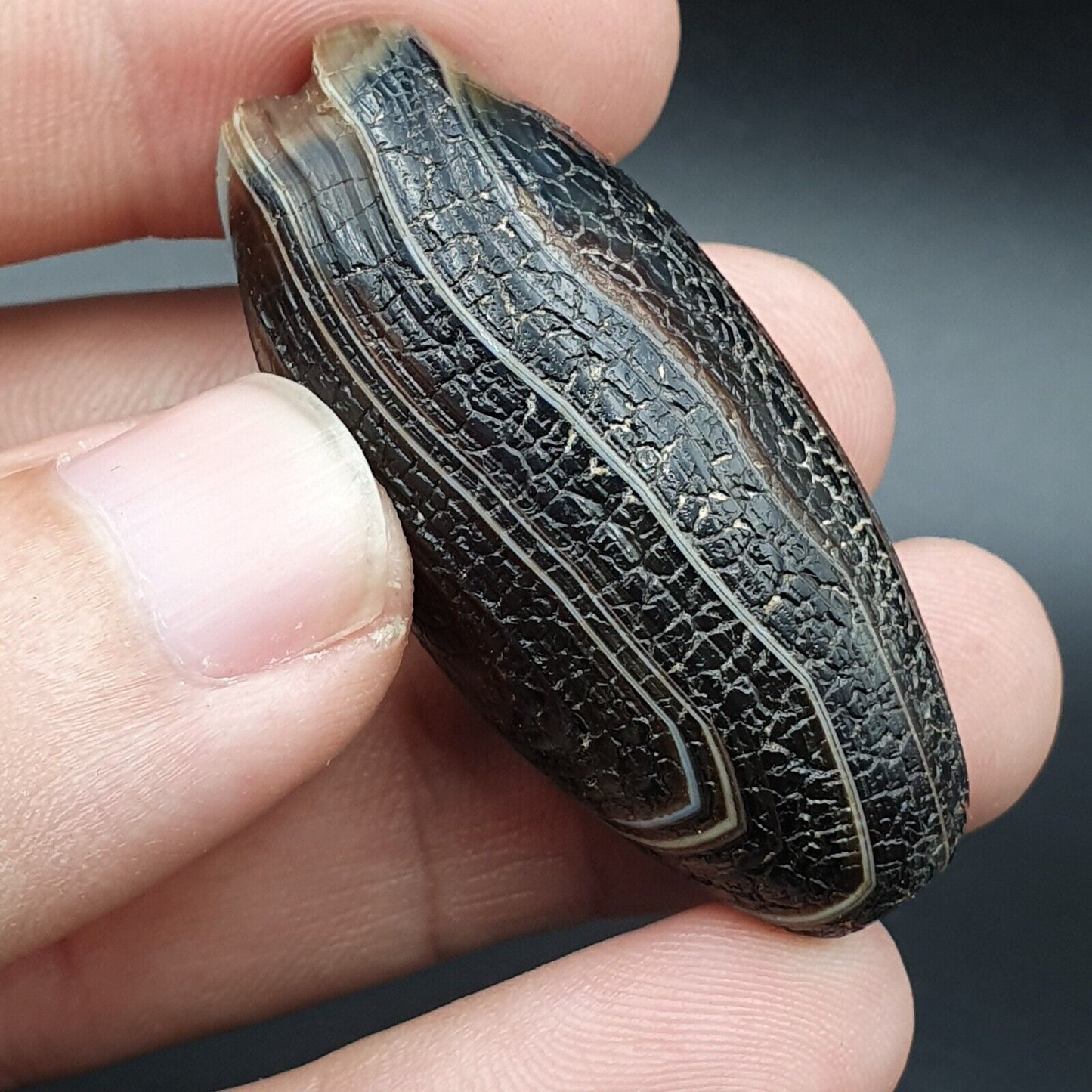 Drachenhaut Achat Himalaya Indo Tibet Achat Perle Amulett Perle #23