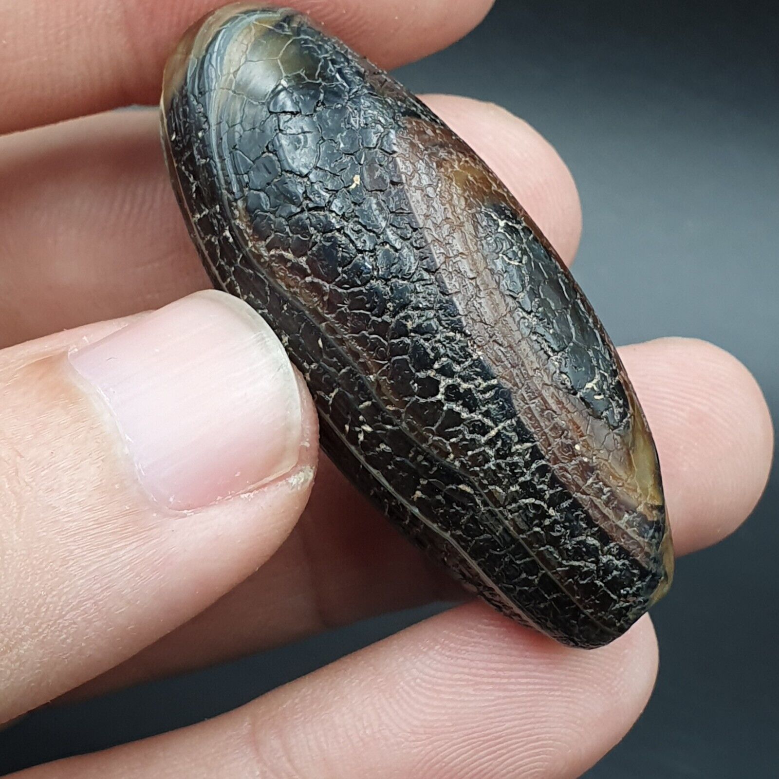 Dragon Skin Agate Himalayan Indo Tibetan Agate bead Amulet Bead #23
