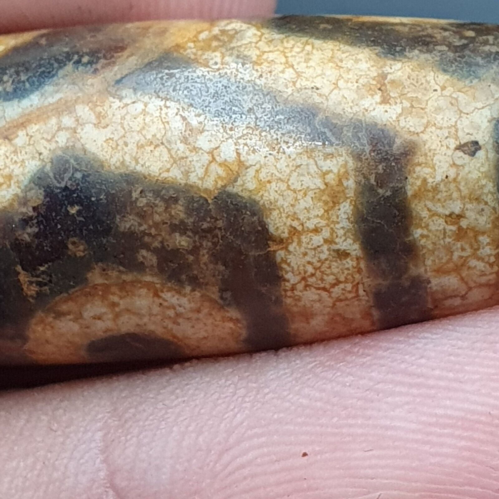 Antique Himalayan Indo Tibetan Old Agate Pure 3 Eyes Powerful Dzi Amulet Bead