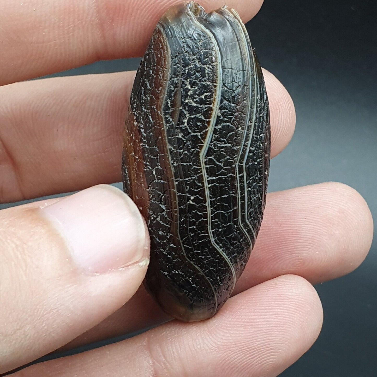 Drachenhaut Achat Himalaya Indo Tibet Achat Perle Amulett Perle #23