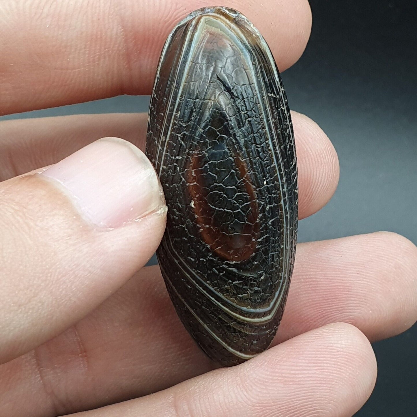 Drachenhaut Achat Himalaya Indo Tibet Achat Perle Amulett Perle #23