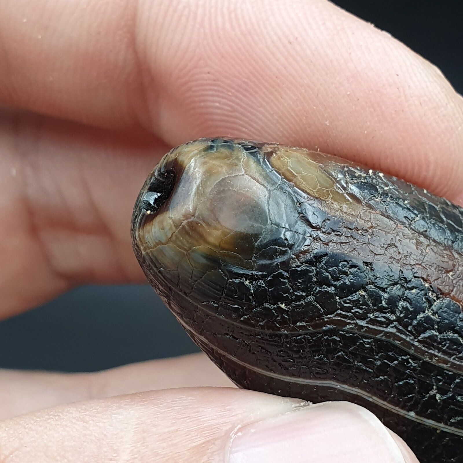 Dragon Skin Agate Himalayan Indo Tibetan Agate bead Amulet Bead #23