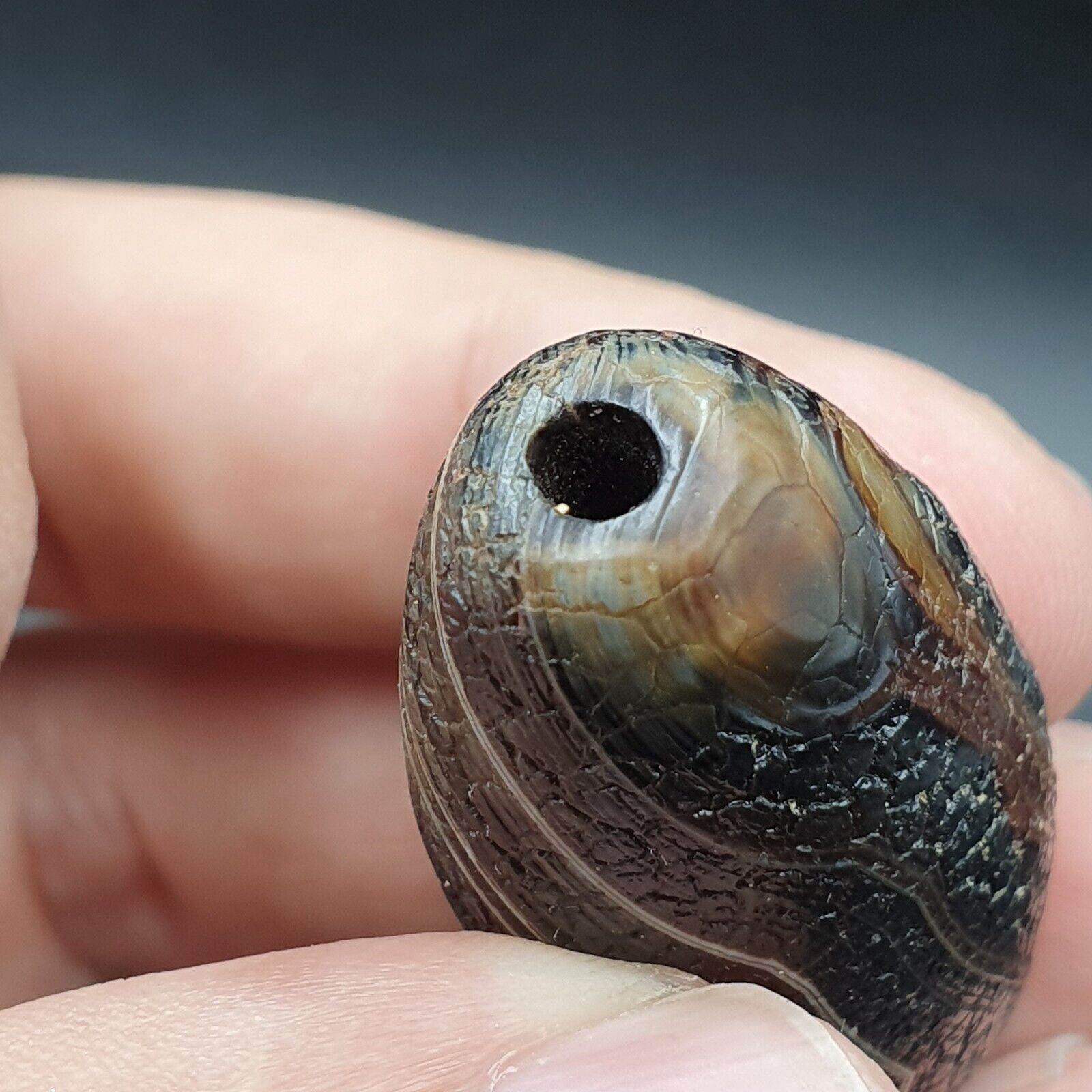 Dragon Skin Agate Himalayan Indo Tibetan Agate bead Amulet Bead #23