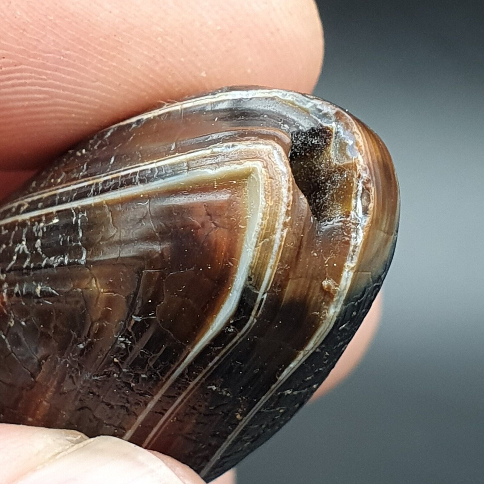 Dragon Skin Agate Himalayan Indo Tibetan Agate bead Amulet Bead #23