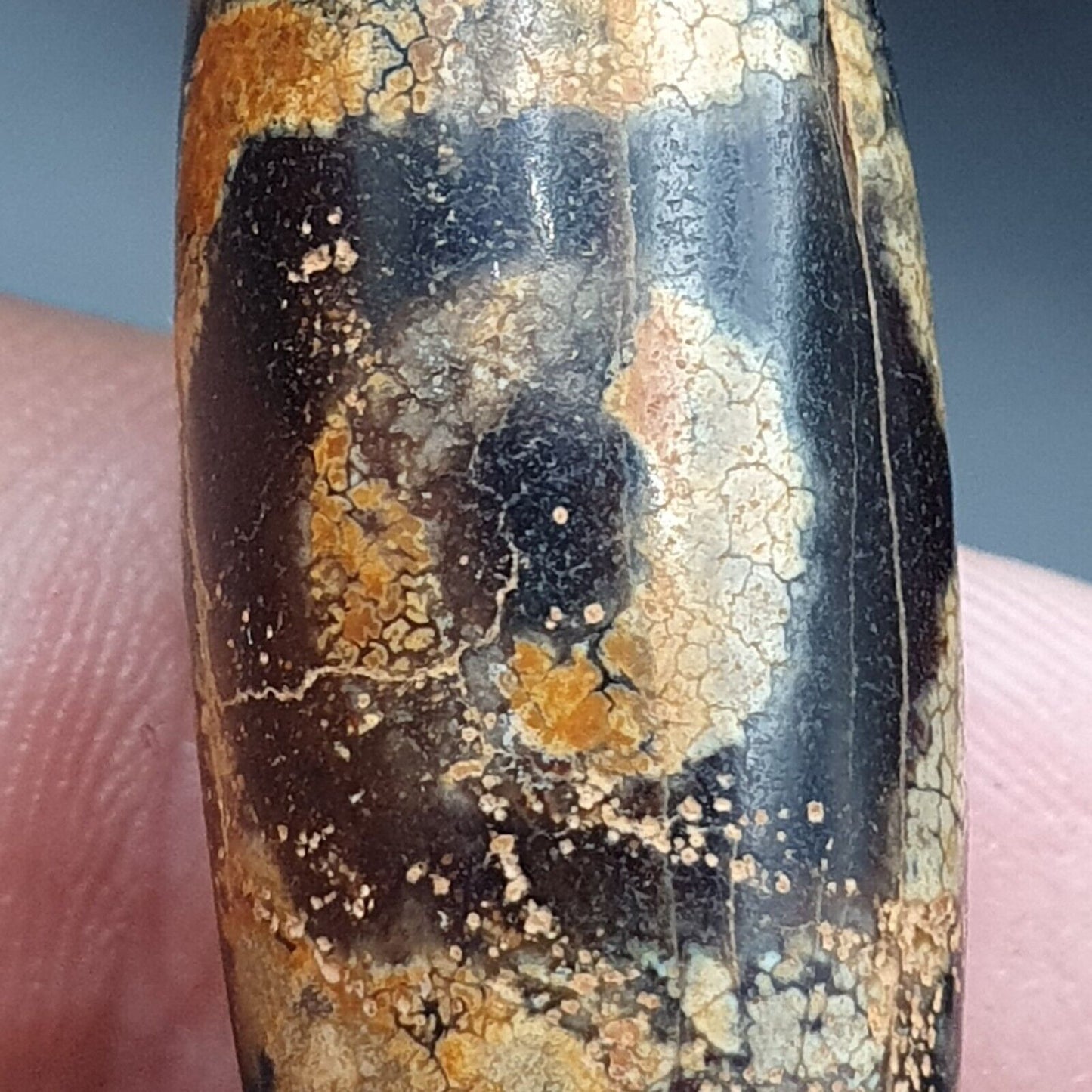 古董喜馬拉雅印度藏老瑪瑙純三眼強力天珠護身符珠