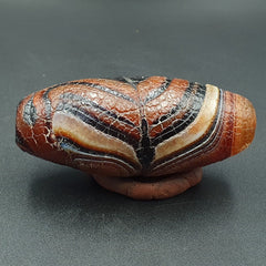 Seltene Drachenhaut-Achat-Himalaya-Indo-Tibet-Achat-Perle, Amulett-Perle #25