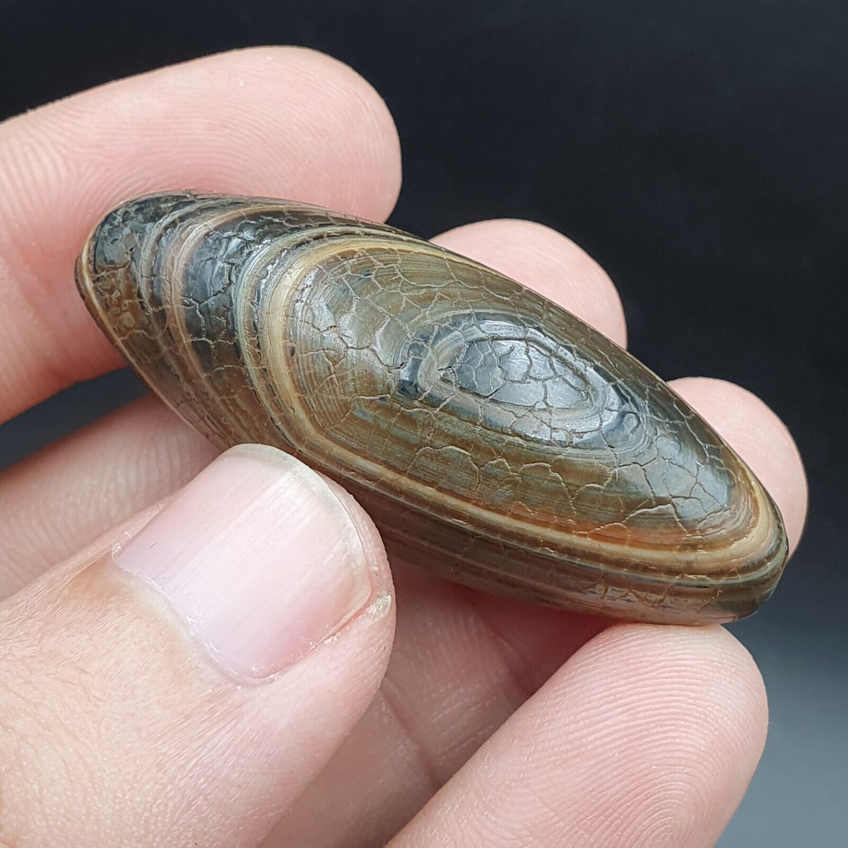 Himalayan Indo Tibetan Agate bead Dragon Skin Agate Amulet Bead #22