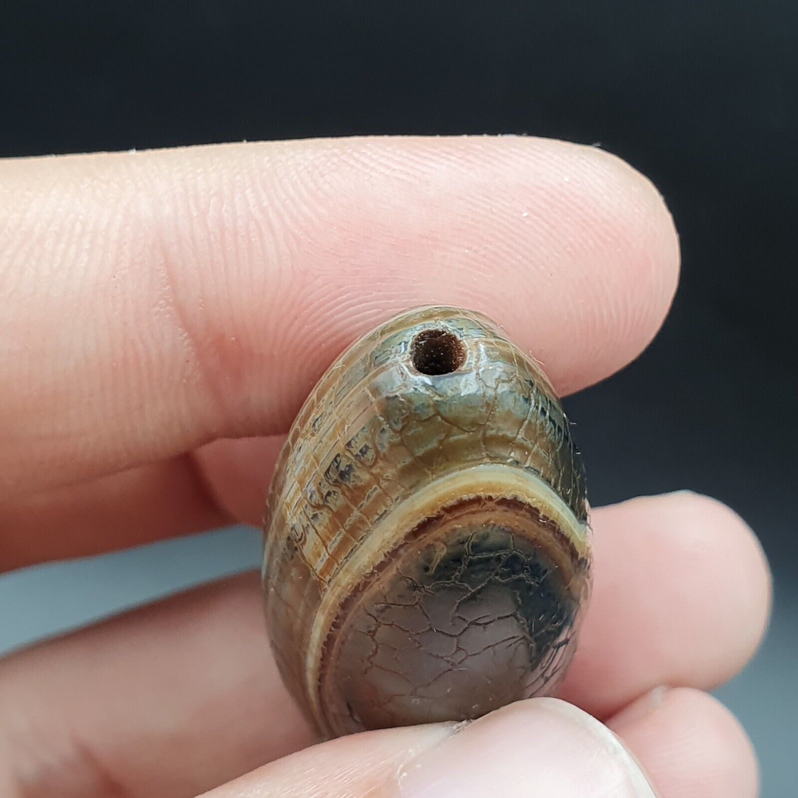 Himalayan Indo Tibetan Agate bead Dragon Skin Agate Amulet Bead #22