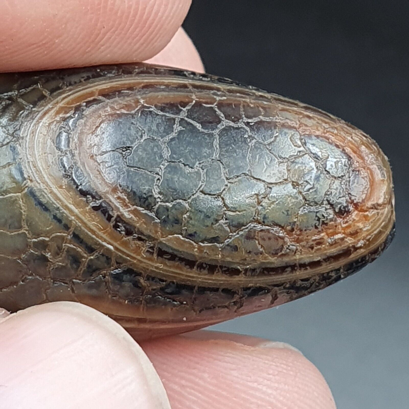 Himalayan Indo Tibetan Agate bead Dragon Skin Agate Amulet Bead #22