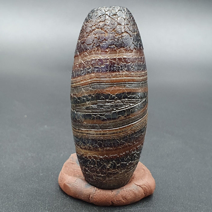 Dragon Skin Agate Himalayan Indo Tibetan Agate Bead Amulet Bead #24