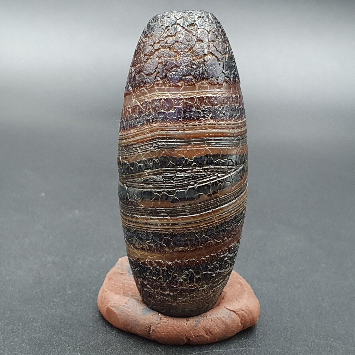 Dragon Skin Agate Himalayan Indo Tibetan Agate bead Amulet Bead #24