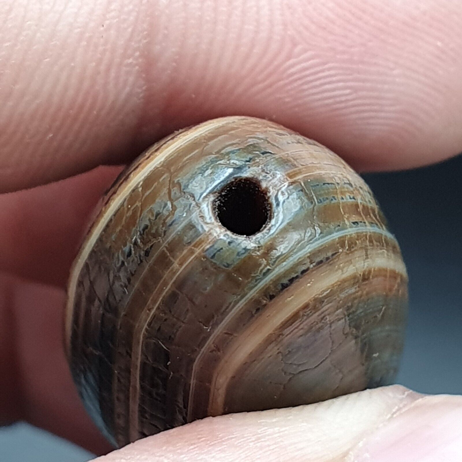 Himalayan Indo Tibetan Agate bead Dragon Skin Agate Amulet Bead #22