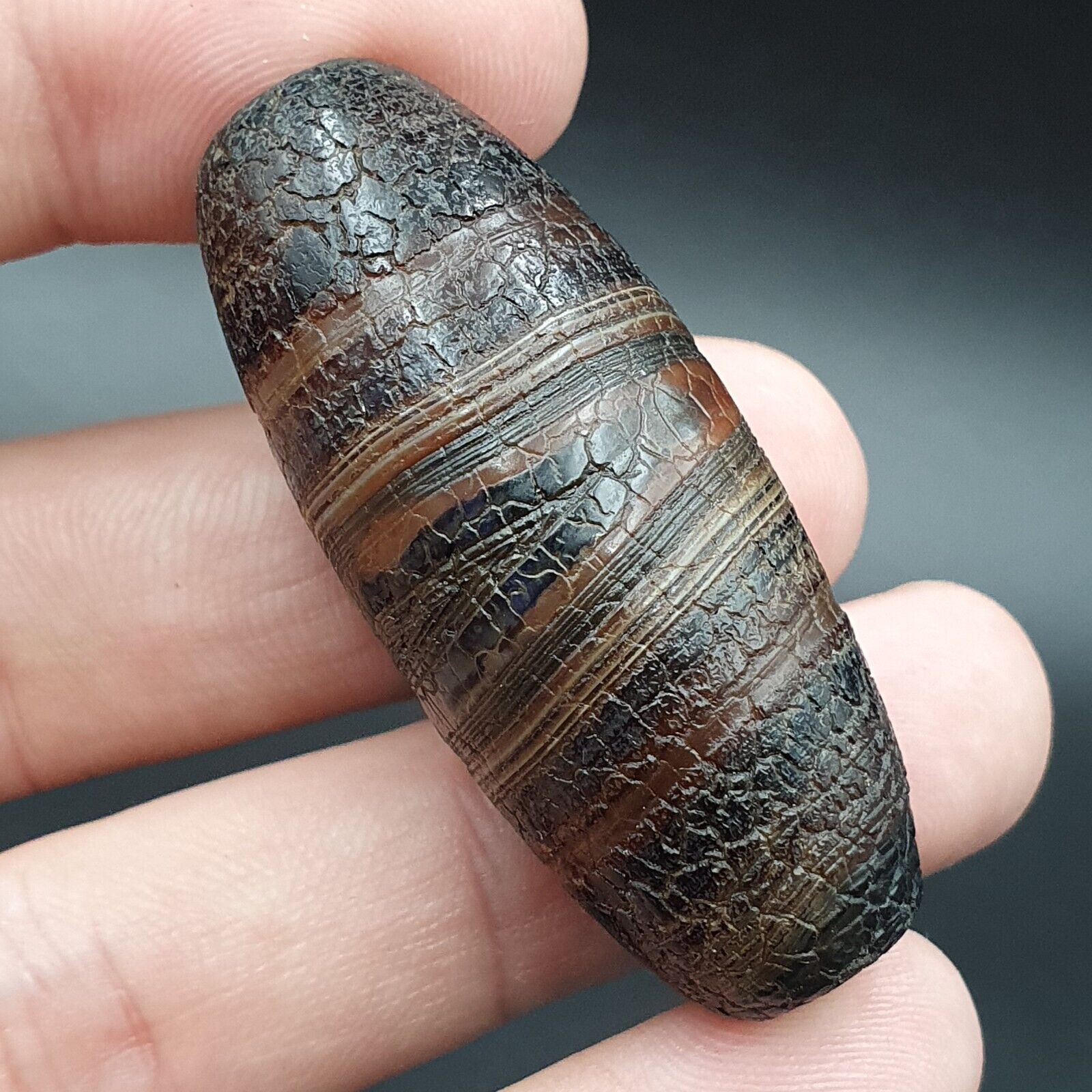 Dragon Skin Agate Himalayan Indo Tibetan Agate bead Amulet Bead #24