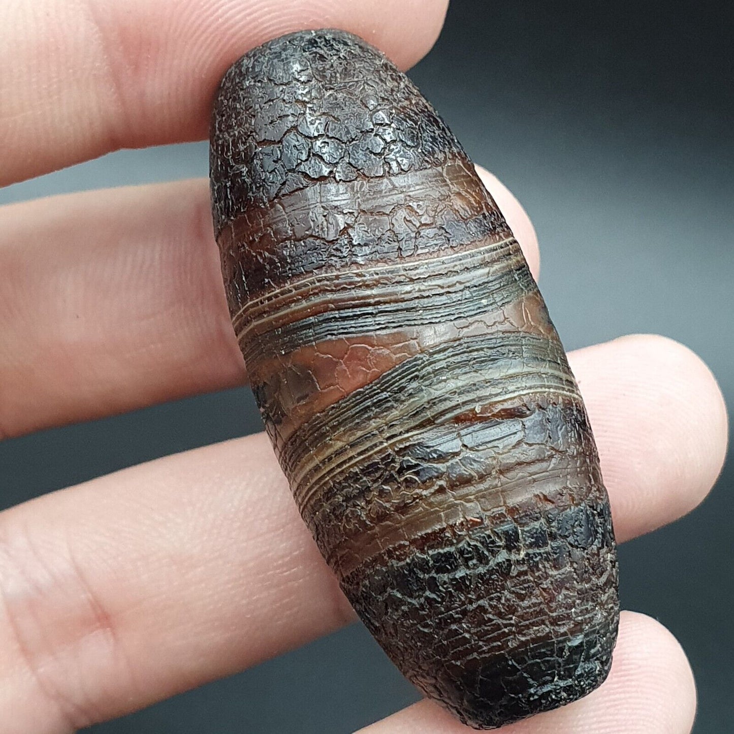 Drachenhaut Achat Himalaya Indo Tibet Achat Perle Amulett Perle #24