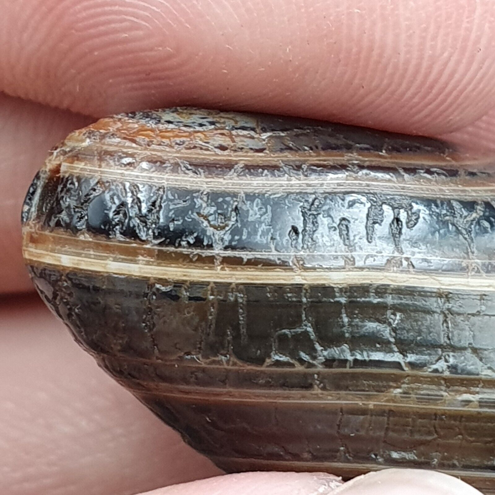 Himalayan Indo Tibetan Agate bead Dragon Skin Agate Amulet Bead #22