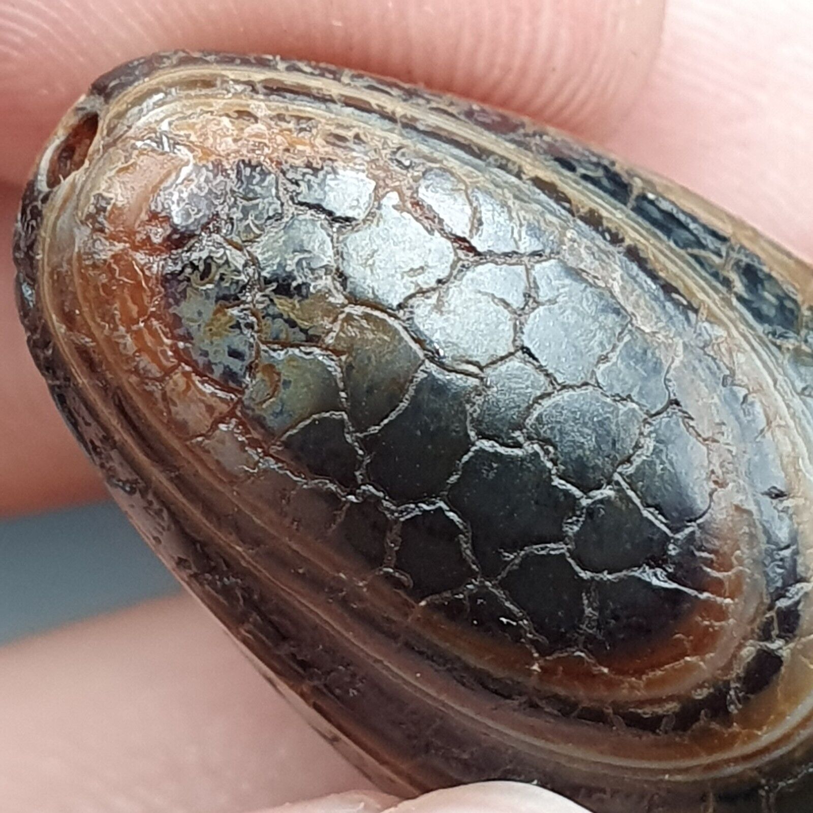 Himalayan Indo Tibetan Agate bead Dragon Skin Agate Amulet Bead #22