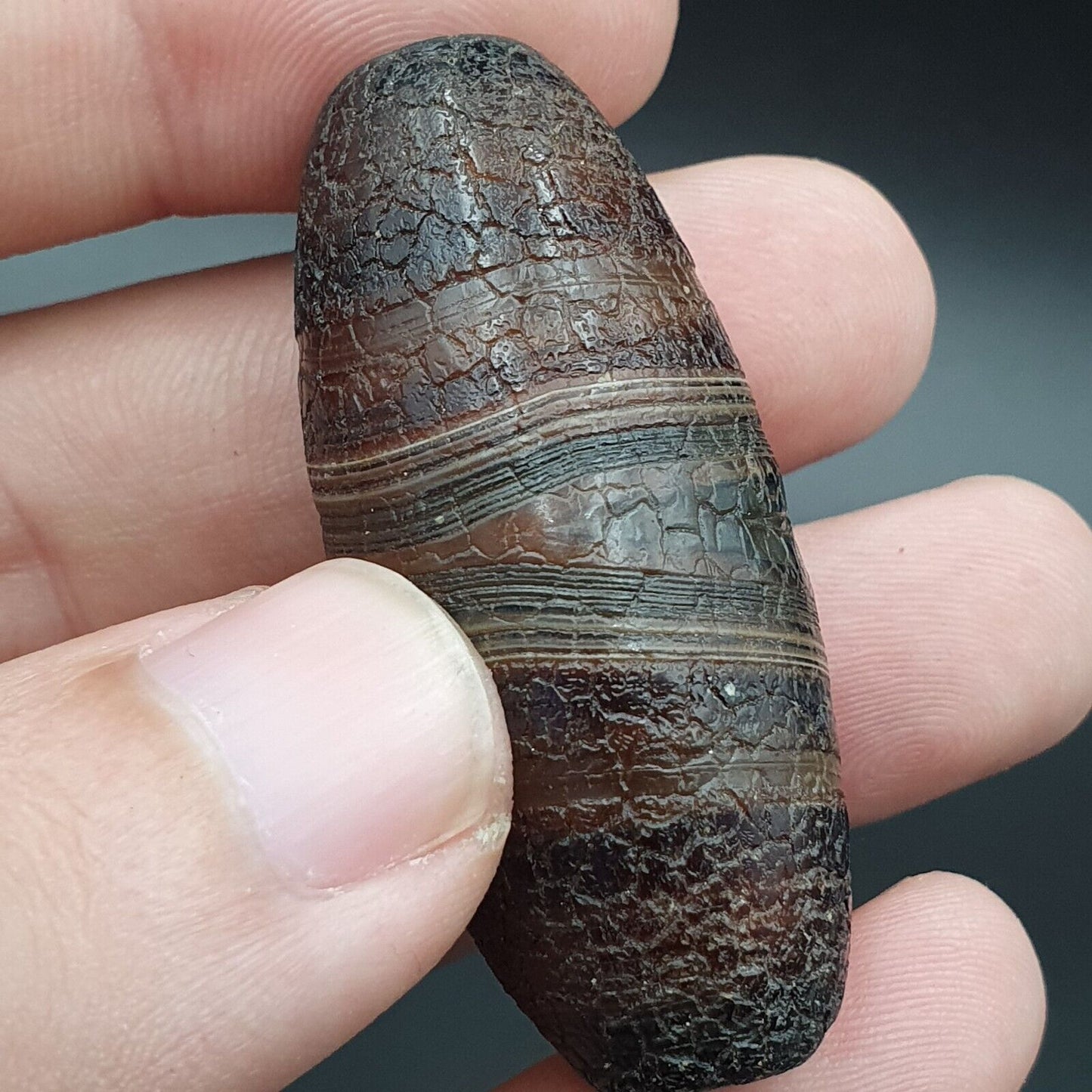 Drachenhaut Achat Himalaya Indo Tibet Achat Perle Amulett Perle #24