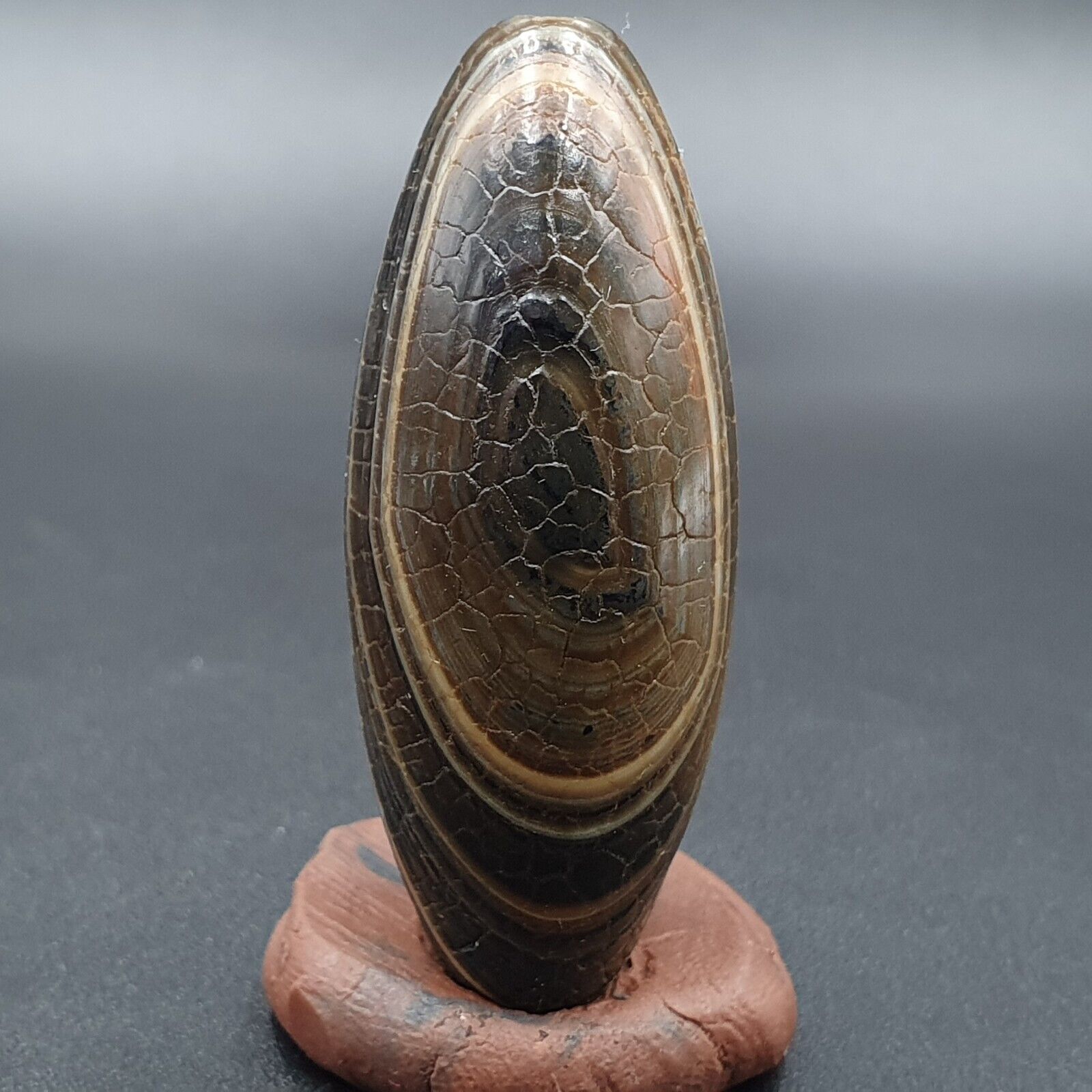 Himalayan Indo Tibetan Agate bead Dragon Skin Agate Amulet Bead #22