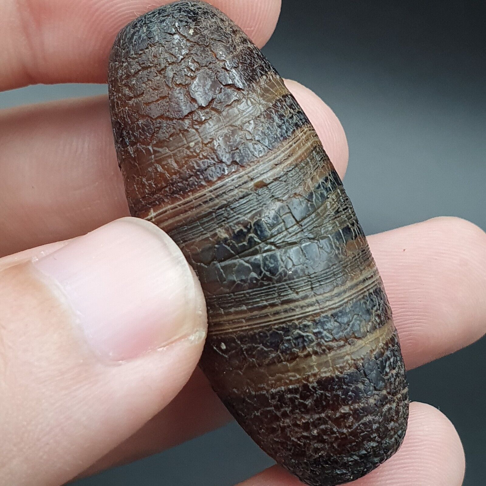 Dragon Skin Agate Himalayan Indo Tibetan Agate bead Amulet Bead #24