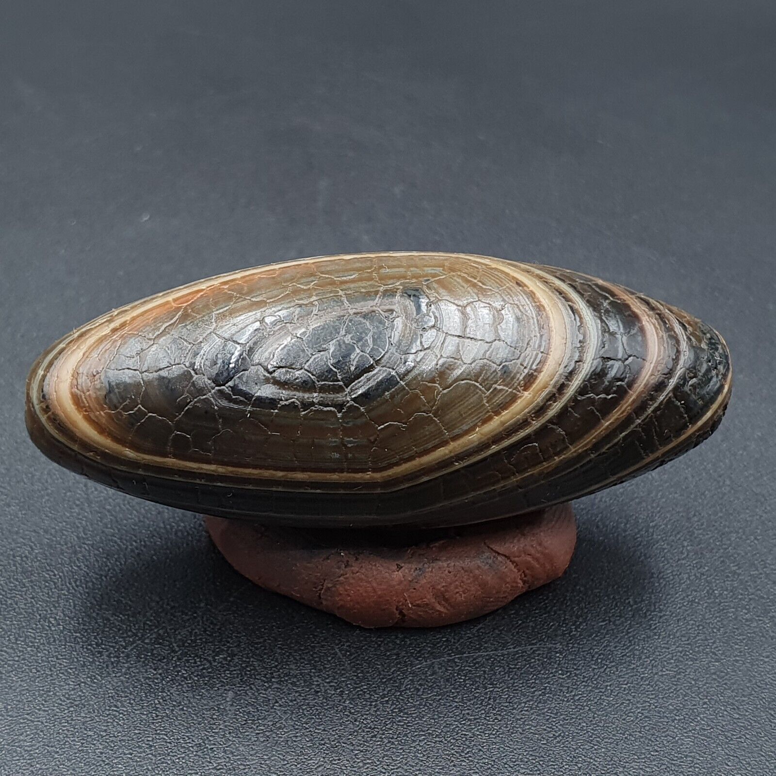 Himalayan Indo Tibetan Agate bead Dragon Skin Agate Amulet Bead #22