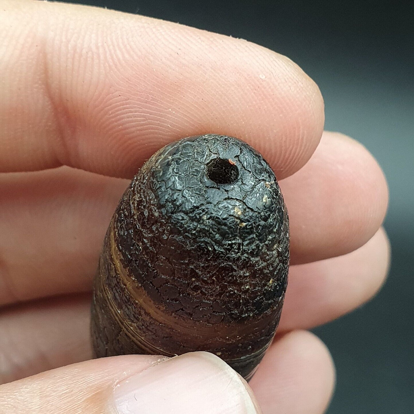 Drachenhaut Achat Himalaya Indo Tibet Achat Perle Amulett Perle #24