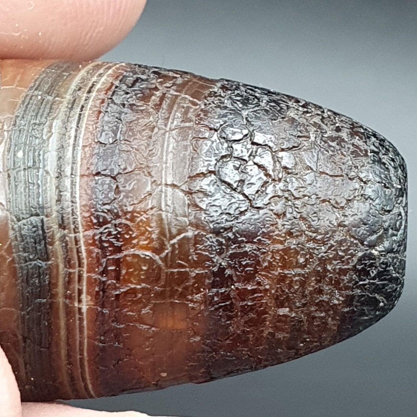 Drachenhaut Achat Himalaya Indo Tibet Achat Perle Amulett Perle #24