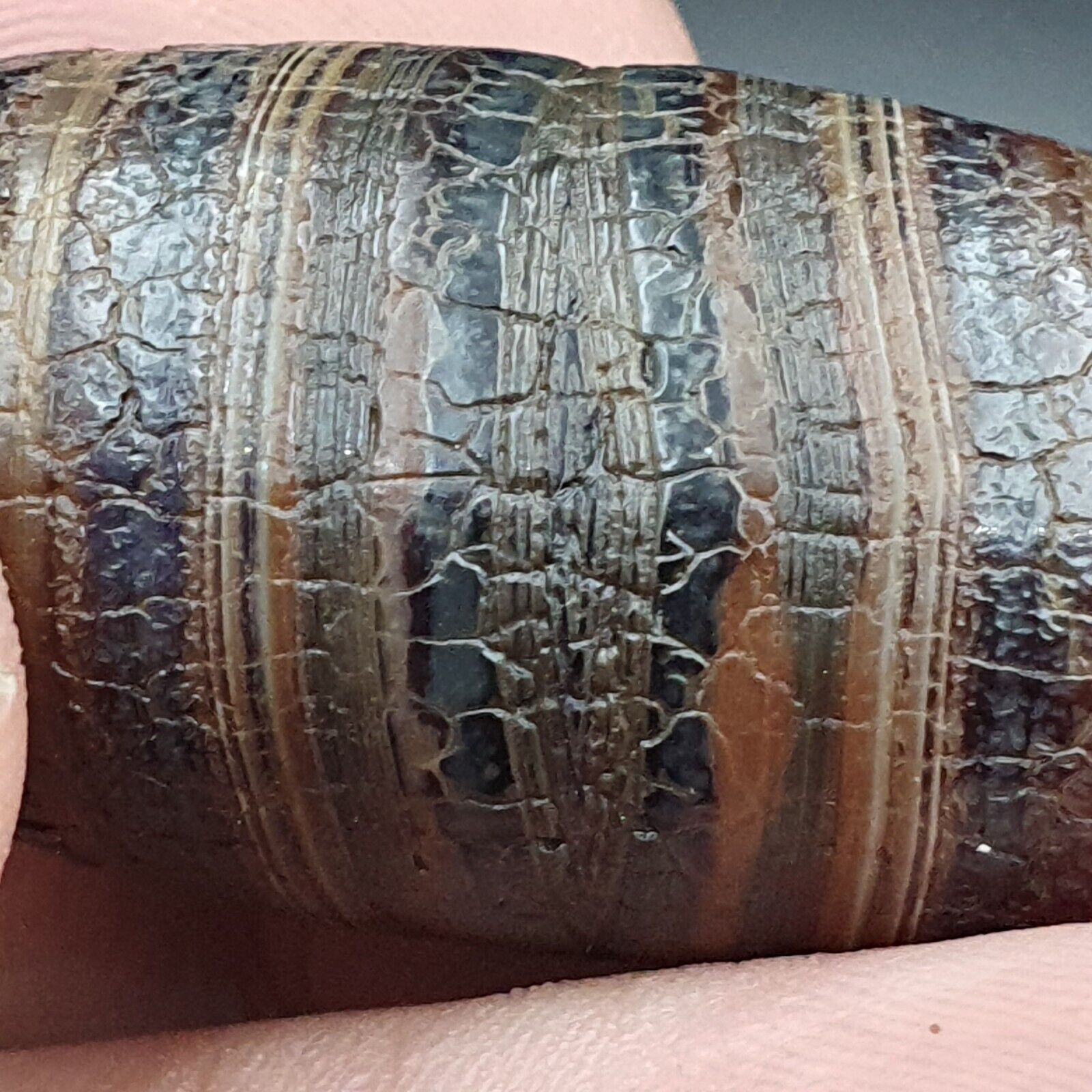 Dragon Skin Agate Himalayan Indo Tibetan Agate bead Amulet Bead #24