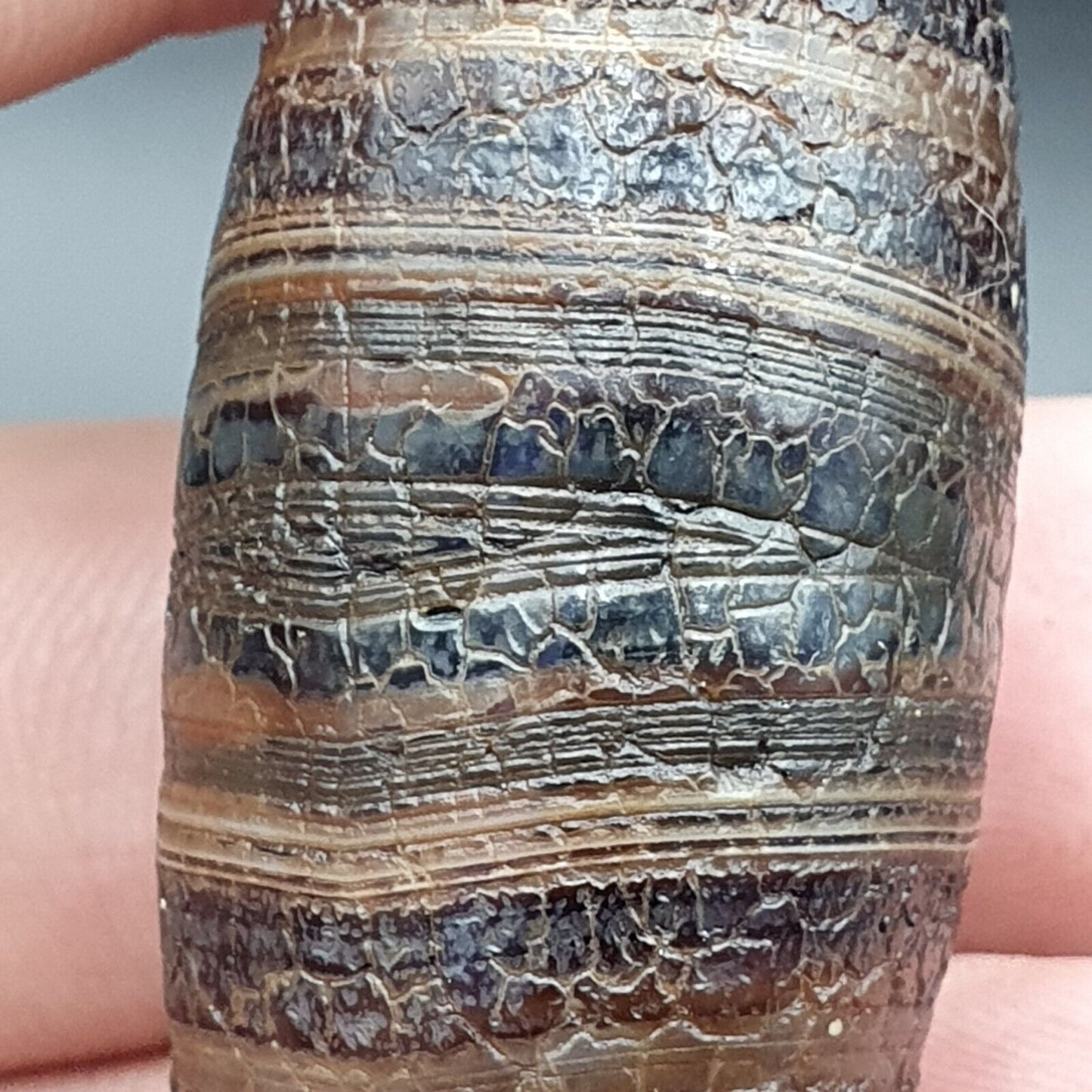 Drachenhaut Achat Himalaya Indo Tibet Achat Perle Amulett Perle #24