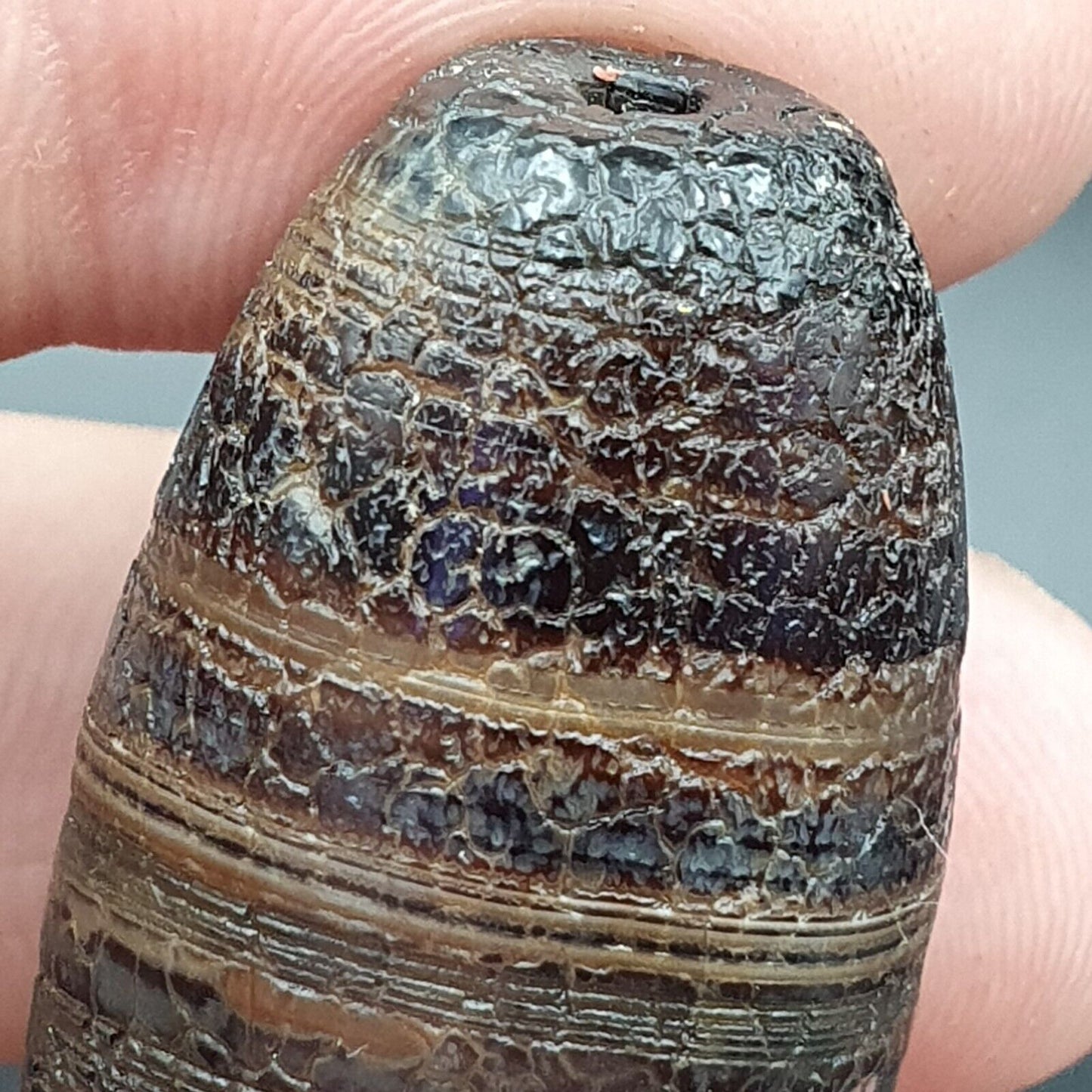 Drachenhaut Achat Himalaya Indo Tibet Achat Perle Amulett Perle #24