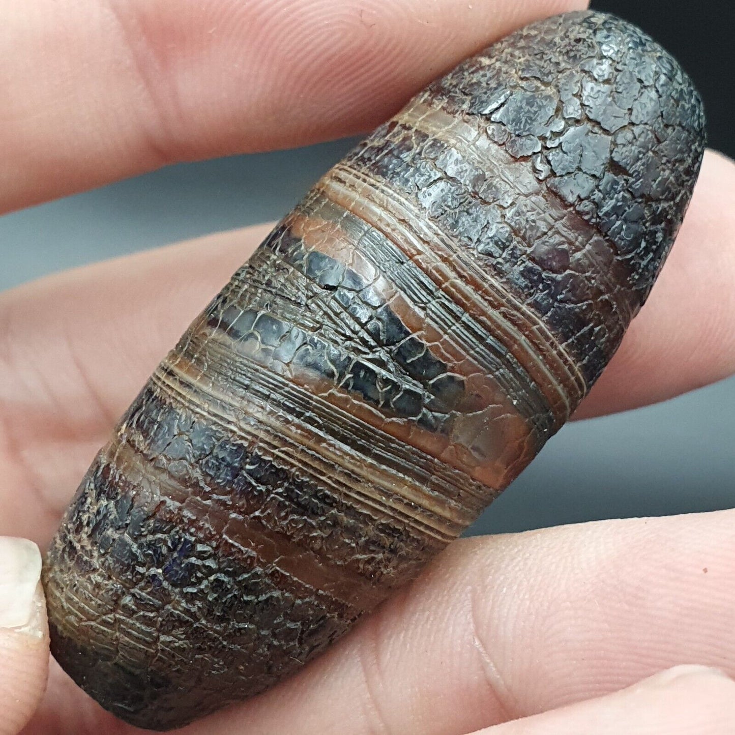 Drachenhaut Achat Himalaya Indo Tibet Achat Perle Amulett Perle #24