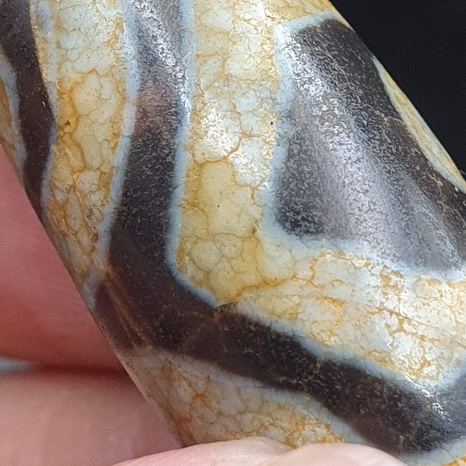 Himalayan Indo Tibetan Old Agate Pure 3 Eyes Dzi Amulet Pendant Bead