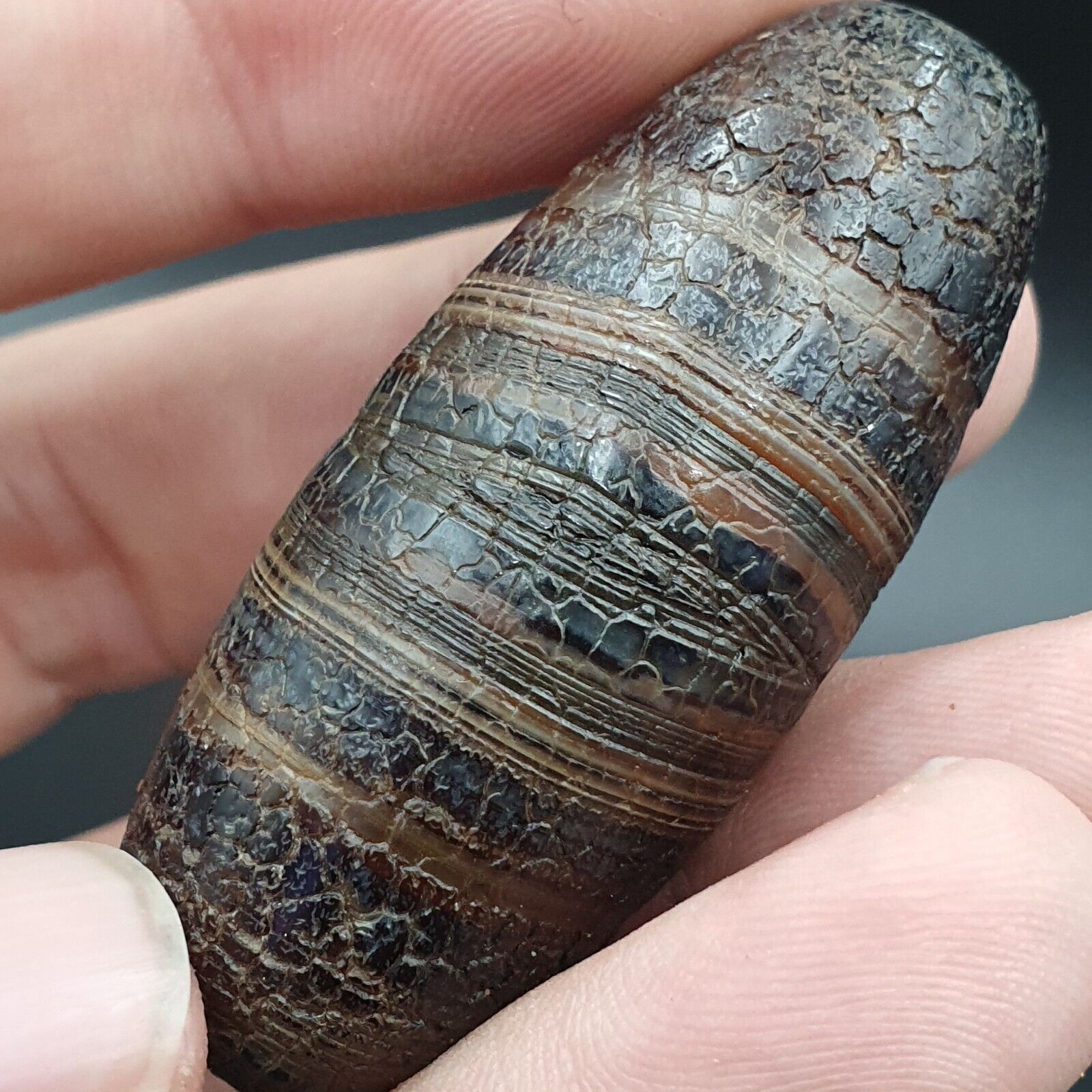 Dragon Skin Agate Himalayan Indo Tibetan Agate bead Amulet Bead #24