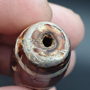 East Oasis Indo Tibetan 2 Eye Dzi Bead, Etched Line Decorated Tapered Tube Agate