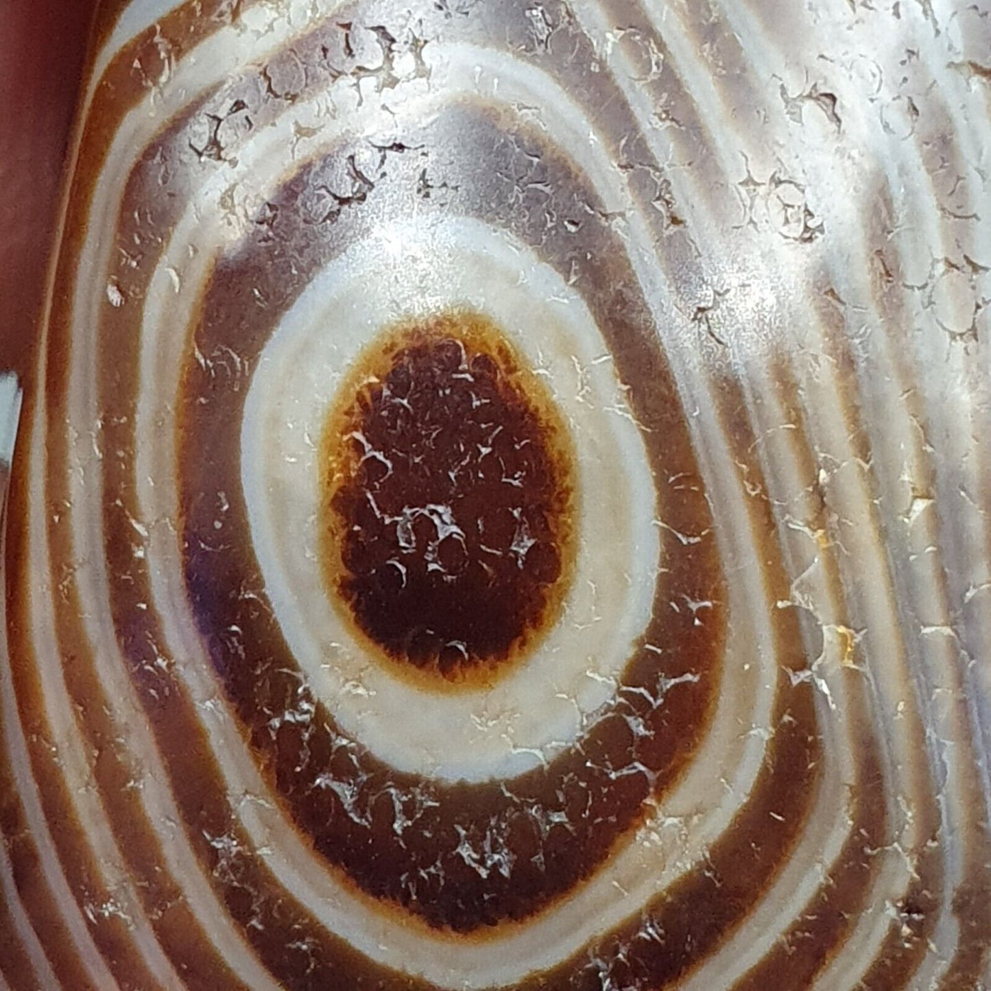 古董喜馬拉雅印度西藏蘇萊曼尼眼瑪瑙護身符珠 #125