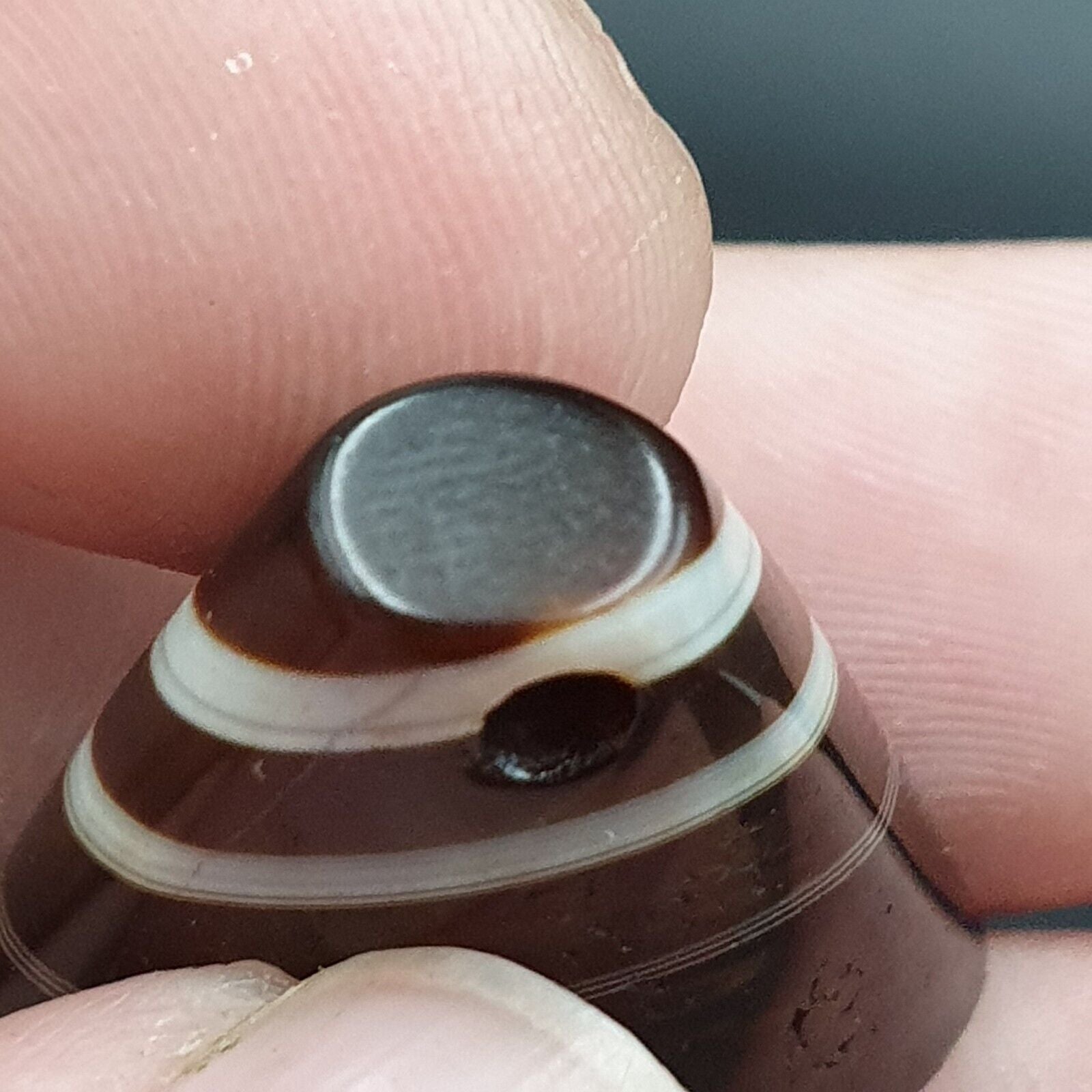 Antique Tibetan Himalayan Agate  Amulet Bead #127