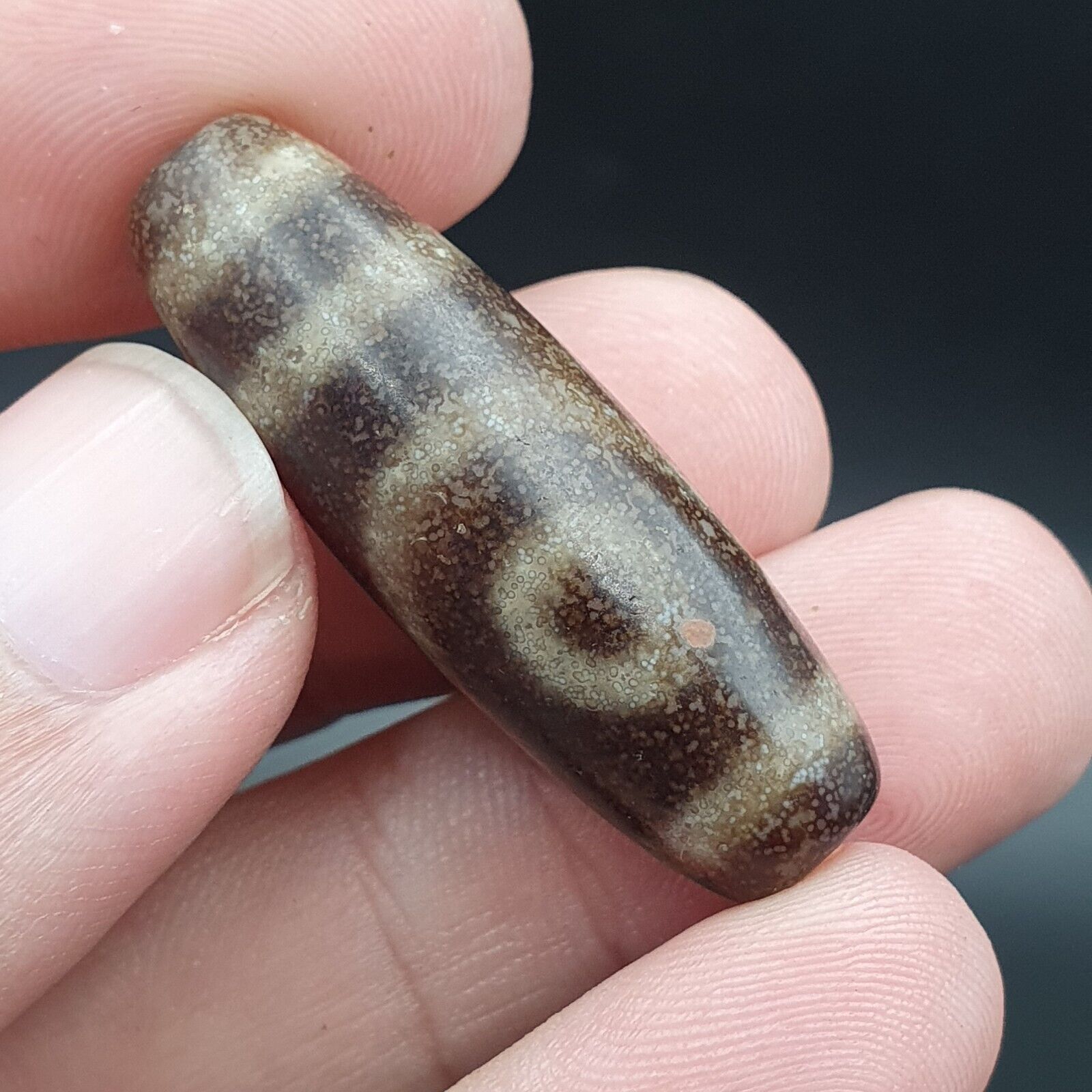 B#5 Antique Tibetan Old Agate 2 eye Dzi Amulet Bead