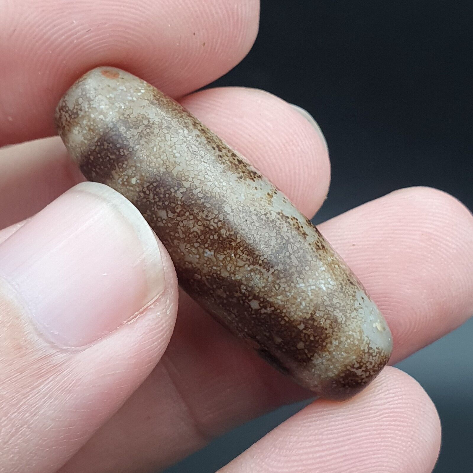 B#5 Antique Tibetan Old Agate 2 eye Dzi Amulet Bead