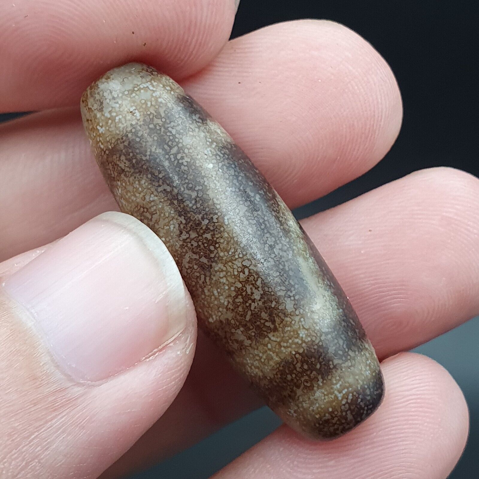 B#5 Antique Tibetan Old Agate 2 eye Dzi Amulet Bead