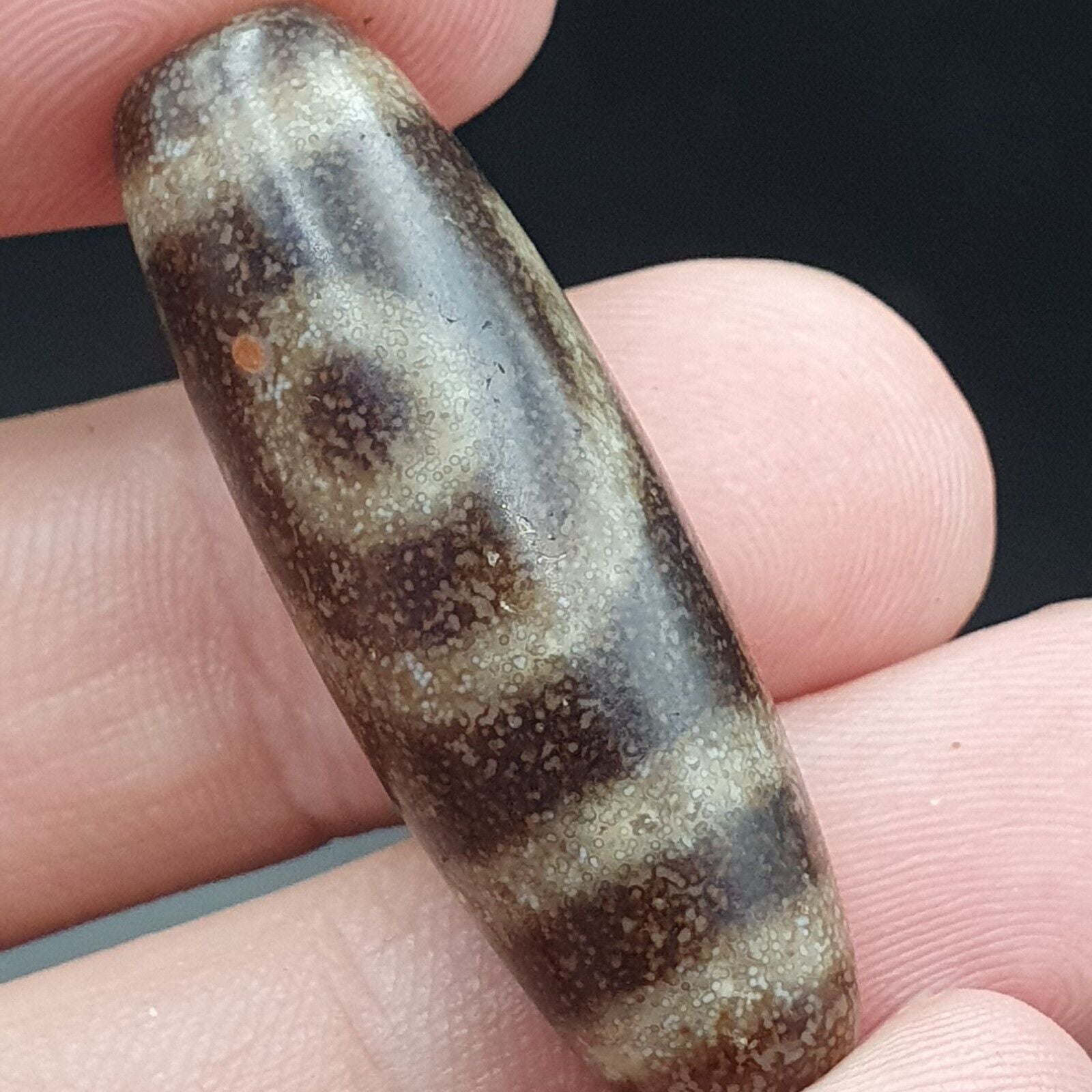 B#5 Antique Tibetan Old Agate 2 eye Dzi Amulet Bead