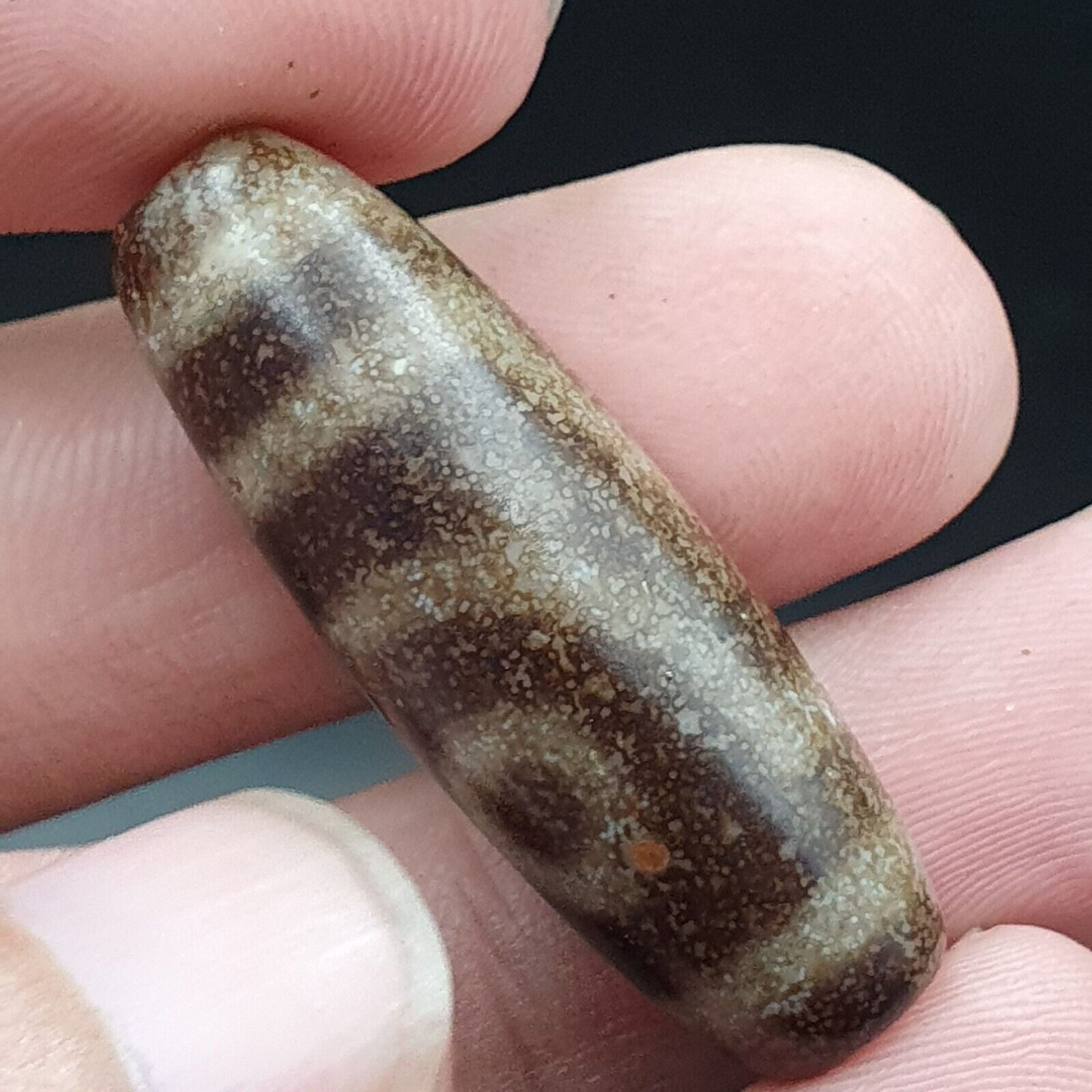 B#5 Antique Tibetan Old Agate 2 eye Dzi Amulet Bead