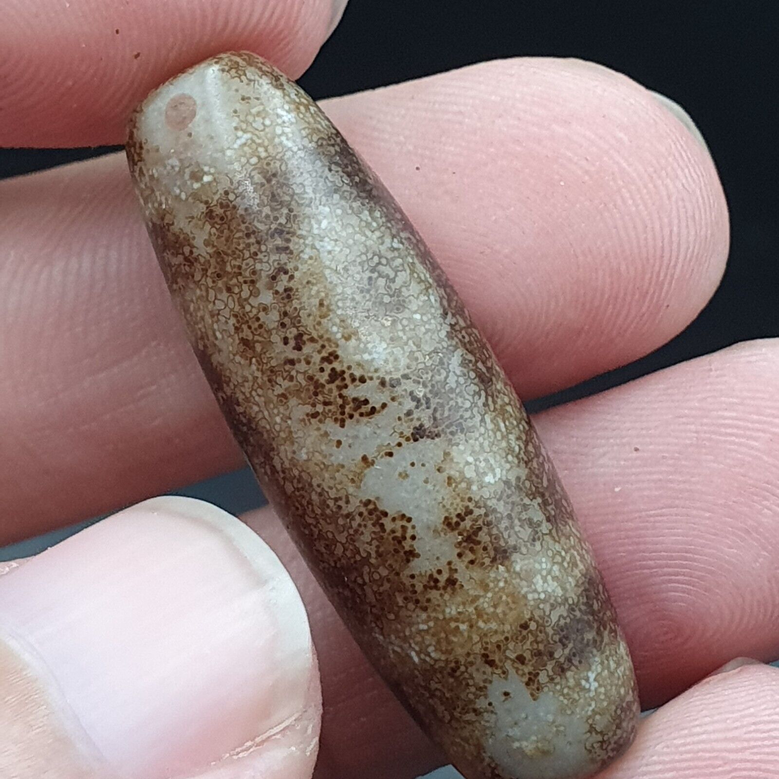 B#5 Antique Tibetan Old Agate 2 eye Dzi Amulet Bead