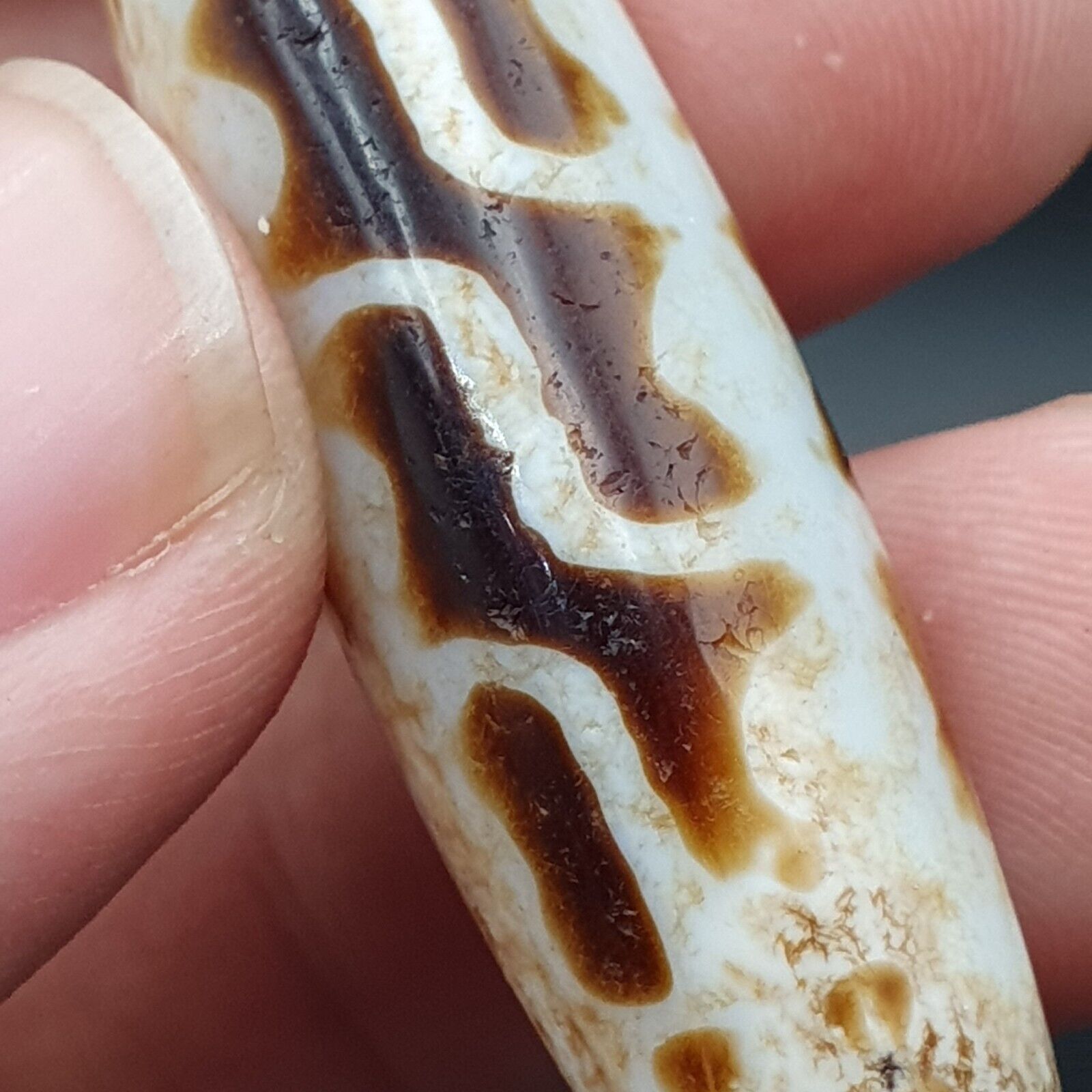 B#8 Antique Tibetan Old Agate Dzi Amulet Bead