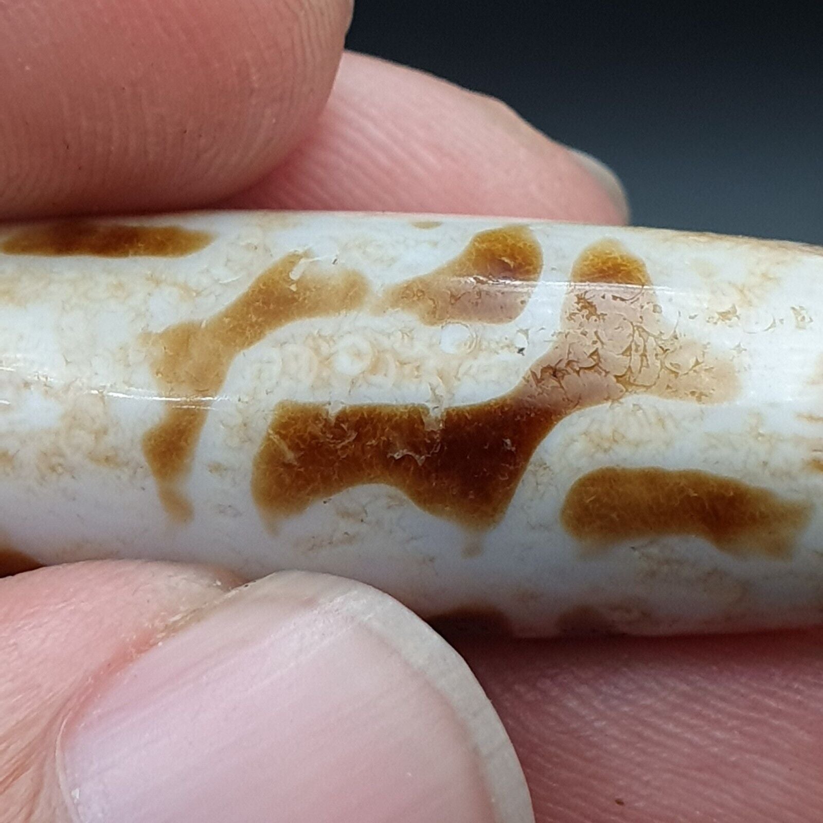 B#8 Antique Tibetan Old Agate Dzi Amulet Bead