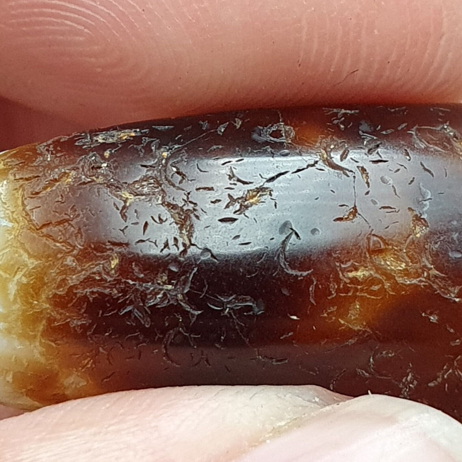 B#9 Antique Tibetan Old Agate Dzi Amulet Bead