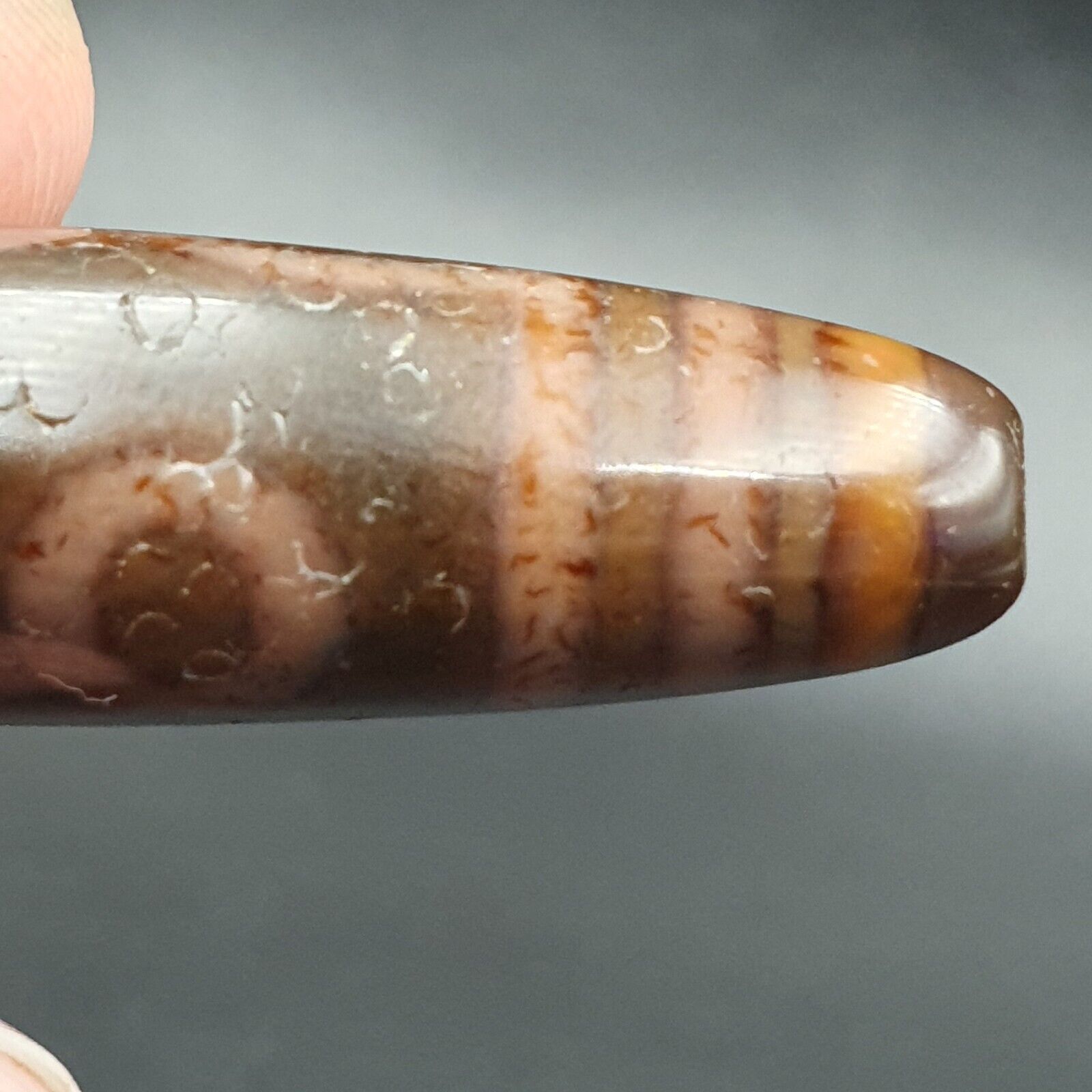 Antique Tibetan Old Agate Pure 5 Eye Powerful Dzi Amulet Bead