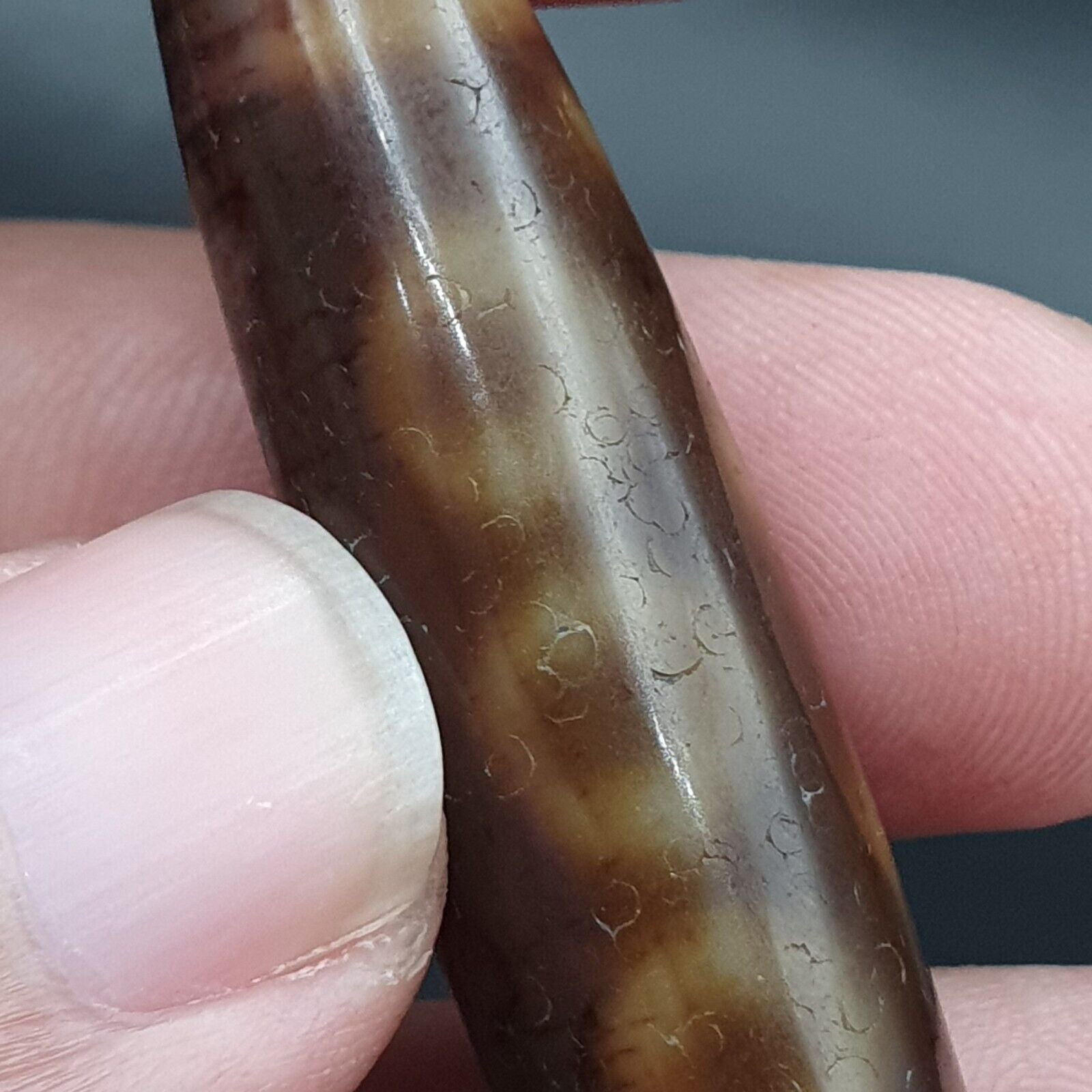 Antique Tibetan Old Agate Pure 5 Eye Powerful Dzi Amulet Bead
