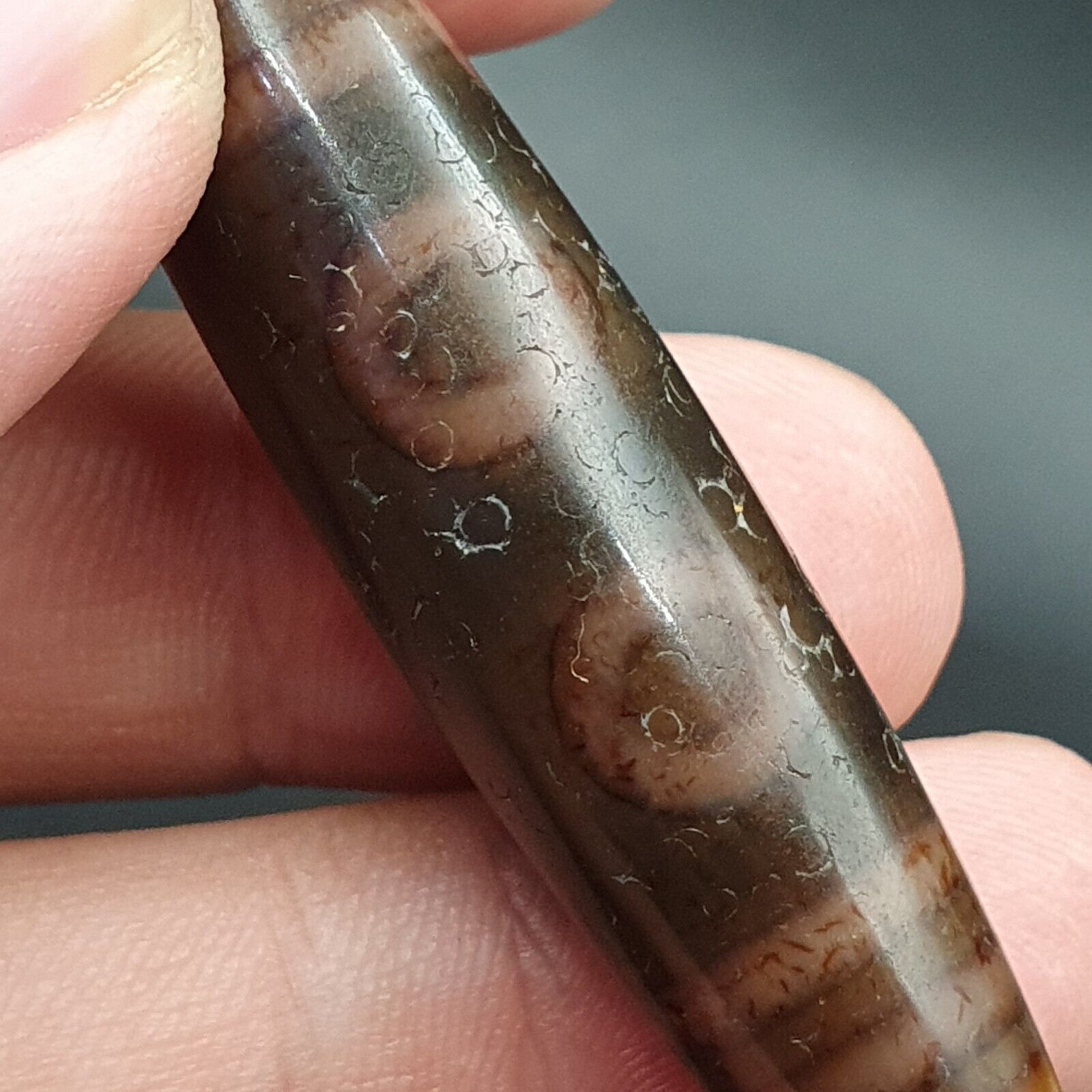 Antique Tibetan Old Agate Pure 5 Eye Powerful Dzi Amulet Bead