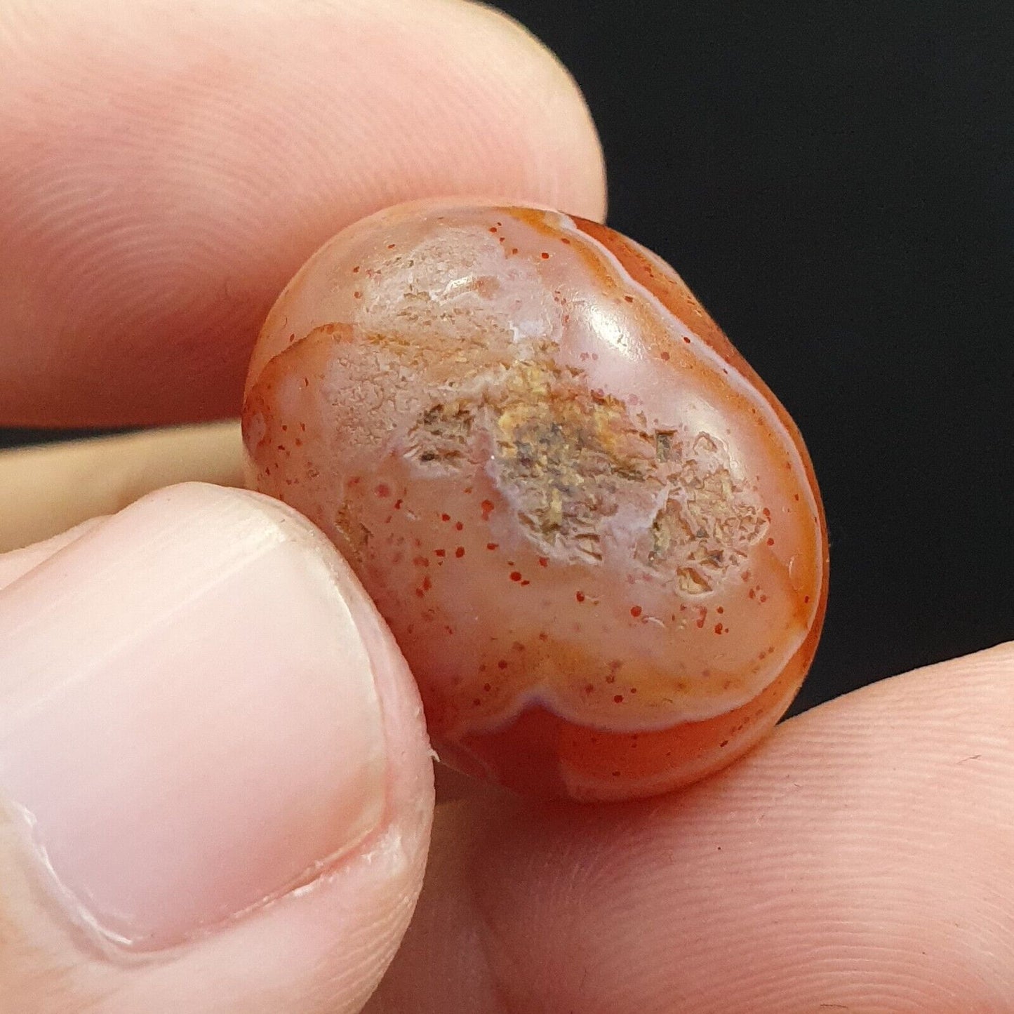 Seltenstes antikes Perlenamulett aus rotem Achat aus dem Himalaya