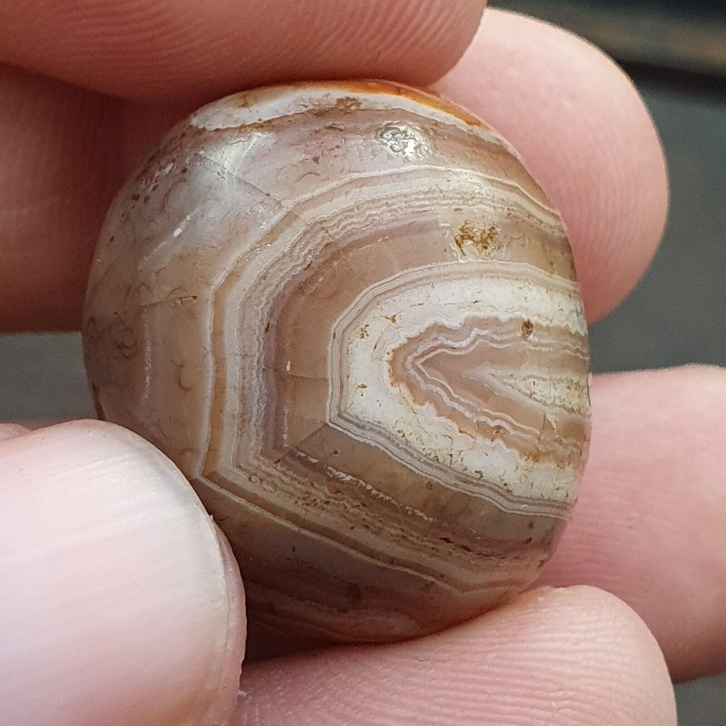古董古代喜馬拉雅西藏紅瑪瑙石珠護身符 MDi 1